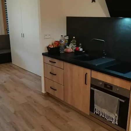 Au Jardin Des 2 Rives 아파트 스트라스부르